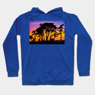 Sunset Silhouette Hoodie